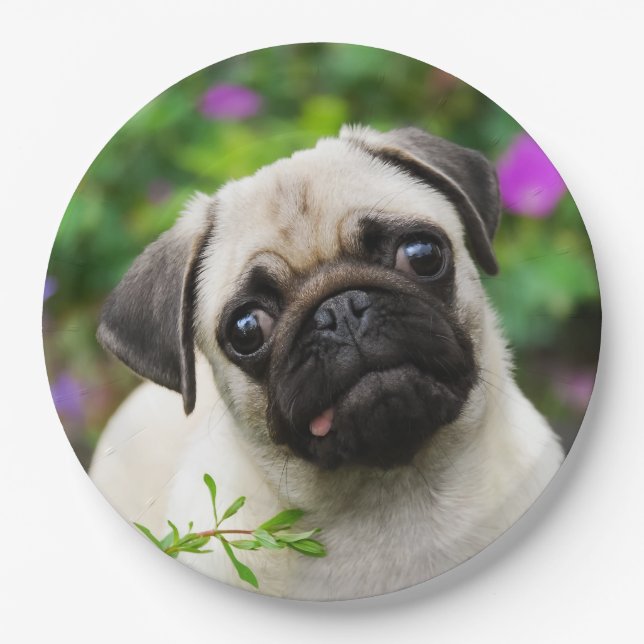 Cute Fawn Pug Puppy Dog Portrait, Happy Party Paper Plate (Front)