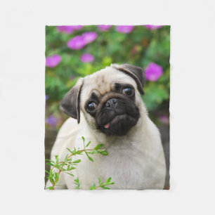 Cute fawn pug puppy fleece blanket
