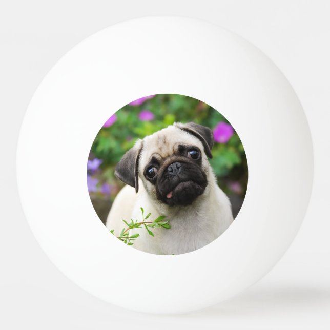 Cute fawn pug puppy ping pong ball (Front)