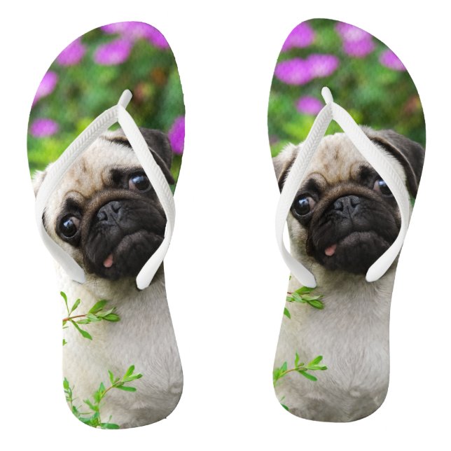 Cute fawn pug puppy thongs (Footbed)