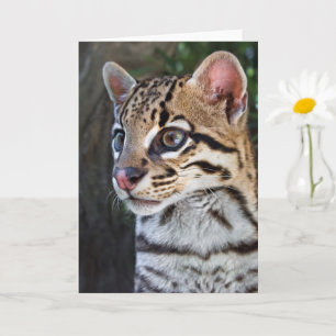 Cute Feline Ocelot Portrait Card