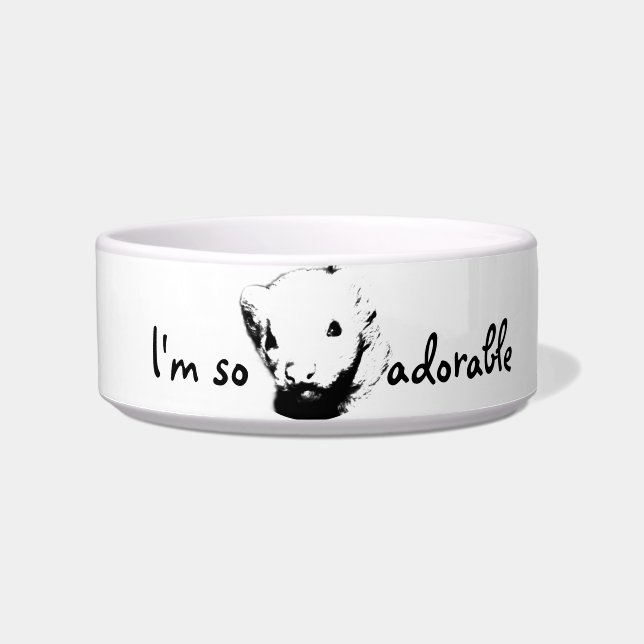 Cute Ferret Picture Bowl (Front)