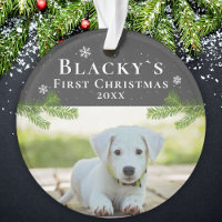 Cute First Christmas Puppy Christmas Photo