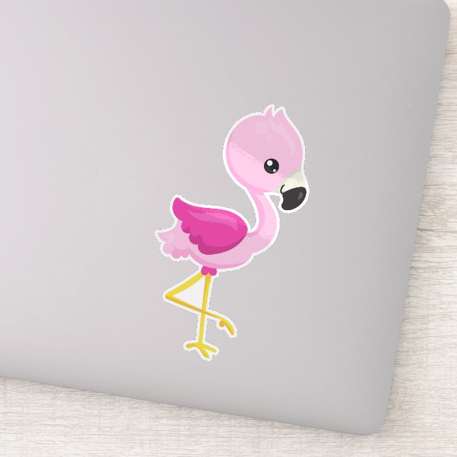 Cute Flamingo, Baby Flamingo, Pink Flamingo, Bird (Detail)