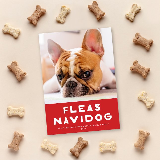 Cute Fleas Navidog Dog Pet Holiday Photo Card (Creator Uploaded)