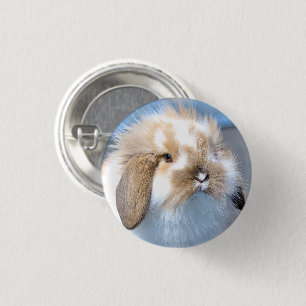 Cute Flemish white and brown rabbit 3 Cm Round Badge