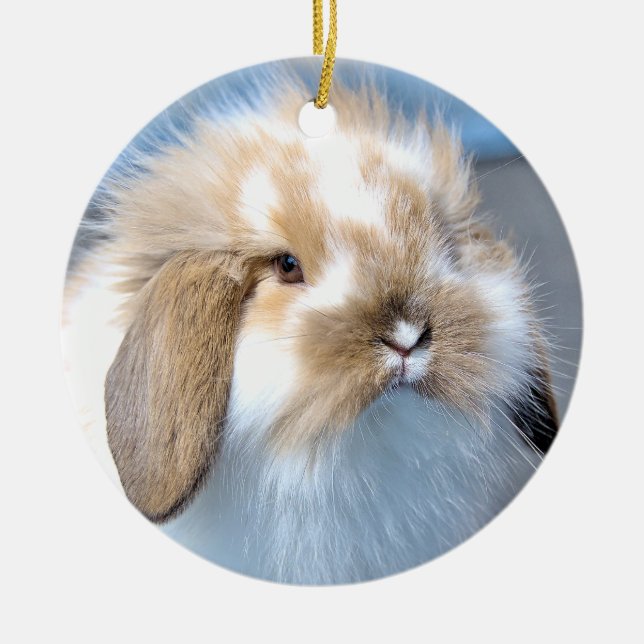 Cute Flemish white and brown rabbit     Ceramic Ornament (Front)