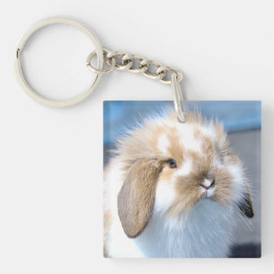 Cute Flemish white and brown rabbit     Key Ring