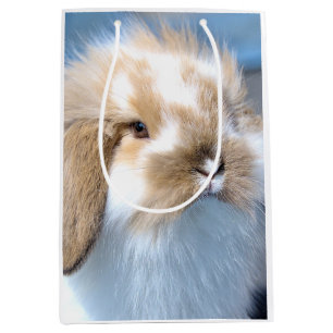 Cute Flemish white and brown rabbit      Medium Gift Bag
