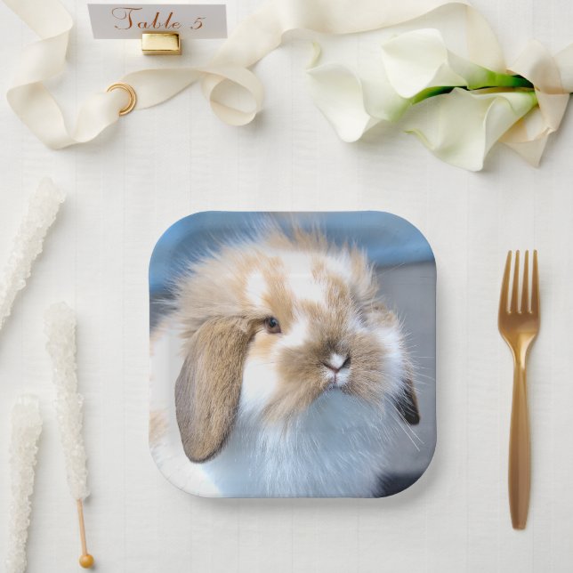 Cute Flemish white and brown rabbit       Paper Plate (Wedding)