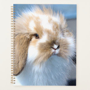 Cute Flemish white and brown rabbit Planner