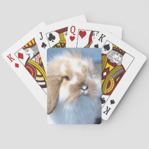 Cute Flemish white and brown rabbit Playing Cards