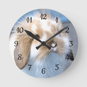 Cute Flemish white and brown rabbit   Round Clock