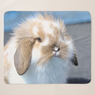 Cute Flemish white and brown rabbit    Sherpa Blanket