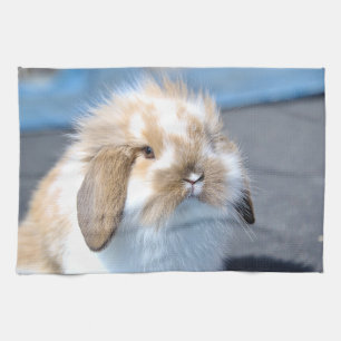 Cute Flemish white and brown rabbit Tea Towel