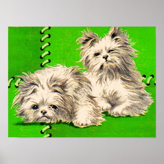 cute floofy dogs poster (Front)