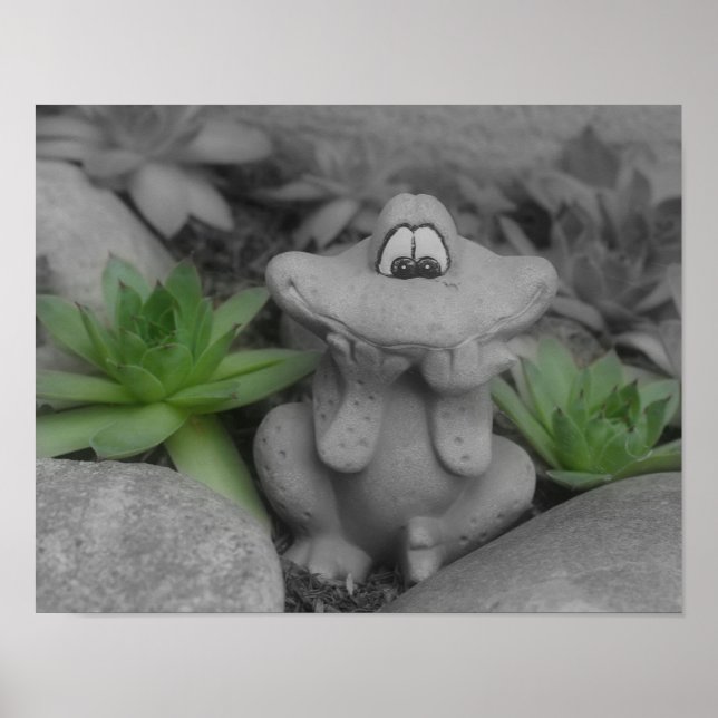 Cute Flower Garden Frog Partial Colour Poster (Front)