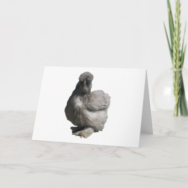 Cute Fluffy Blue Silkie Chicken Card (Front)