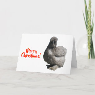 Cute Fluffy Blue Silkie Chicken Merry Christmas Card