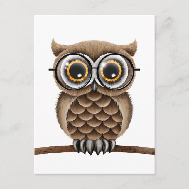 Cute Fluffy Brown Owl with Reading Glasses, White Postcard (Front)