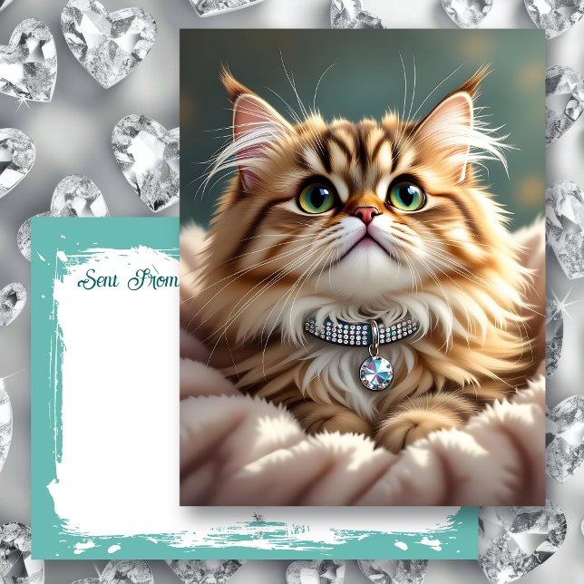 Cute Fluffy Cat | Keeping in Touch Postcard (Creator Uploaded)