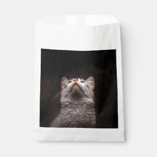 Cute Fluffy Cat Looking Up Black Background Animal Favour Bag