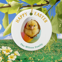 Cute Fluffy Chick Egg Hatching Personalised Easter