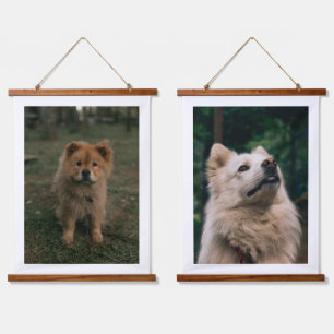 Cute Fluffy Dog Rustic Hanging Wall Art Pet Photog