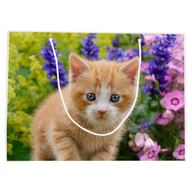 Cute Fluffy Ginger Baby Cat Kitten in Flowers Pet Large Gift Bag (Back)