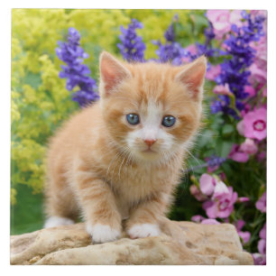 Cute Fluffy Ginger Cat Kitten Flowers Pet Photo -- Ceramic Tile
