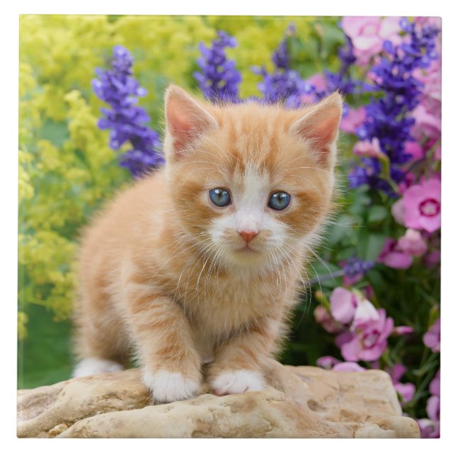 Cute Fluffy Ginger Cat Kitten Flowers Pet Photo -- Ceramic Tile (Front)