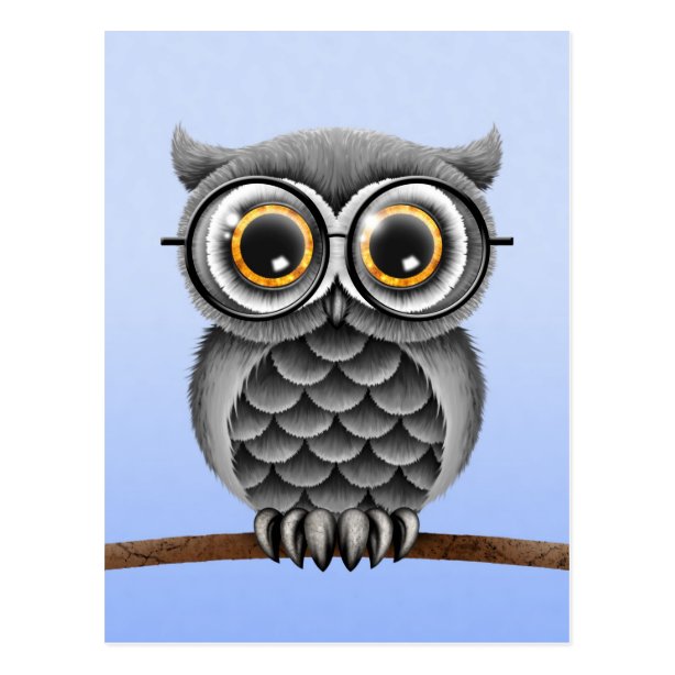 Fluffy Owl Gifts on Zazzle AU