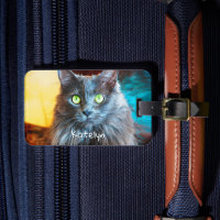 Cute fluffy grey cat photo custom name script