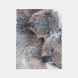Cute Fluffy Grey Koalas Fleece Blanket