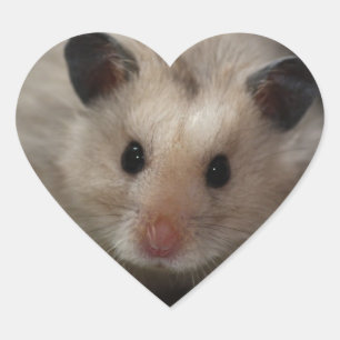 Cute Fluffy Hamster Heart Sticker