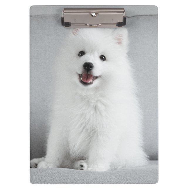 Cute Fluffy Japanese Spitz Puppy Clipboard (Front)
