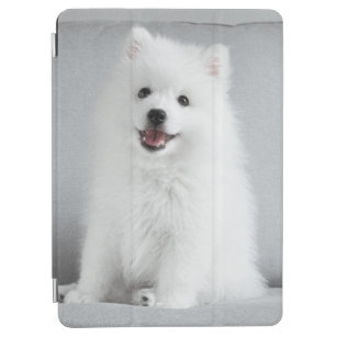Cute Fluffy Japanese Spitz Puppy iPad Air Cover