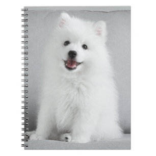 Cute Fluffy Japanese Spitz Puppy Notebook