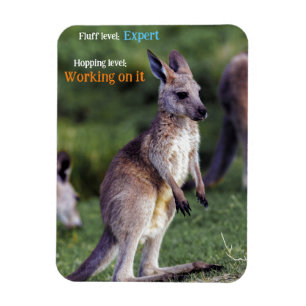 Cute fluffy joey Kangaroo Magnet