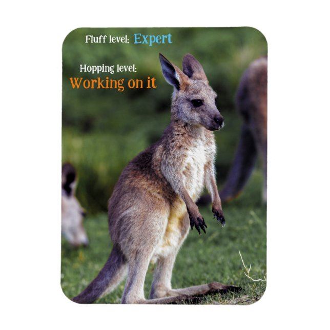 Cute fluffy joey Kangaroo Magnet (Vertical)