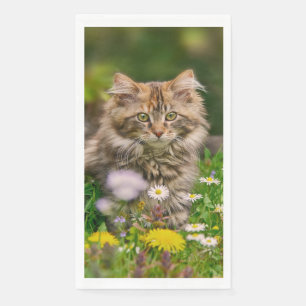 Cute Fluffy Maine Coon Kitten Cat Animal Photo // Napkin