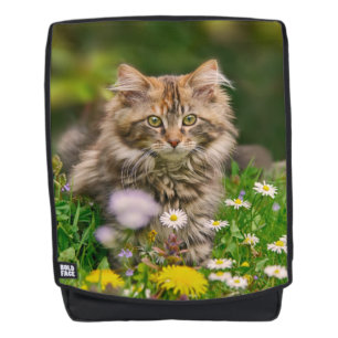 Cute Fluffy Maine Coon Kitten Cat in Flowers Photo Backpack