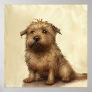 Cute Fluffy Norfolk Terrier Art Poster