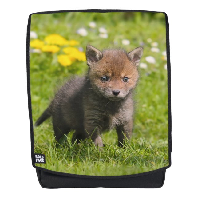 Cute Fluffy Red Fox Cub Wild Baby Animal  Boldface Backpack (Front)