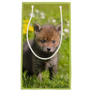 Cute Fluffy Red Fox Cub Wild Baby Animal Photo - Small Gift Bag