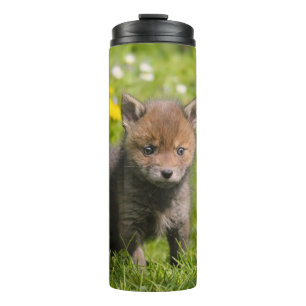 Cute Fluffy Red Fox Cub Wild Baby Animal Photo - Thermal Tumbler