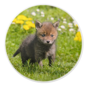 Cute Fluffy Red Fox Cub Wild Baby - Decorative Ceramic Knob