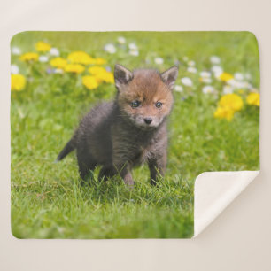 Cute Fluffy Red Fox Kit Cub Wild Baby Animal Photo Sherpa Blanket