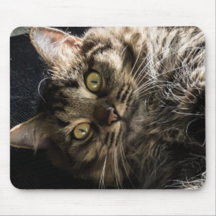 Cute Fluffy Tabby Cat  Mouse Pad