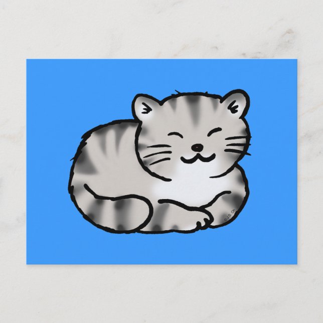 cute fluffy tabby grey tiger cat postcard (Front)